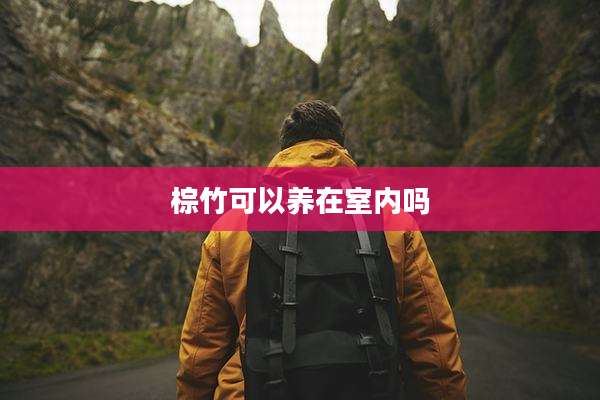 棕竹可以养在室内吗