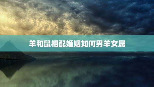 羊和鼠相配婚姻如何男羊女属