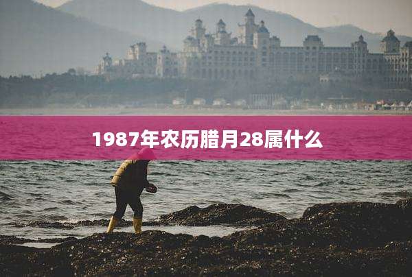 1987年农历腊月28属什么