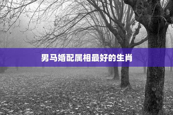 男马婚配属相最好的生肖