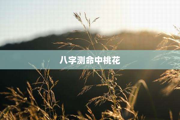 八字测命中桃花