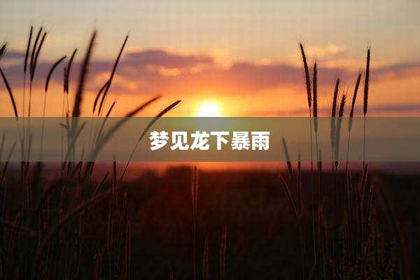 梦见龙下暴雨