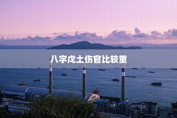 八字戊土伤官比较重