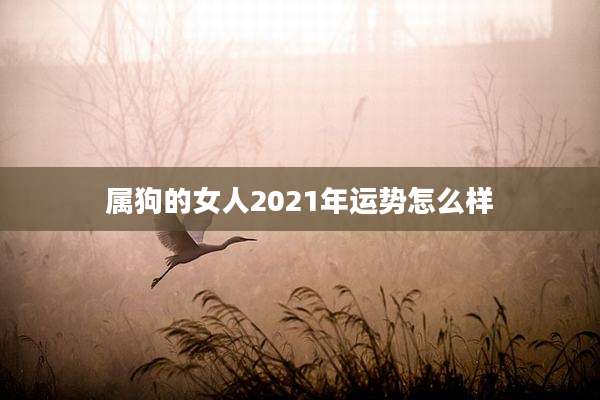 属狗的女人2021年运势怎么样