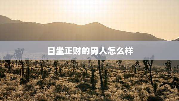 日坐正财的男人怎么样