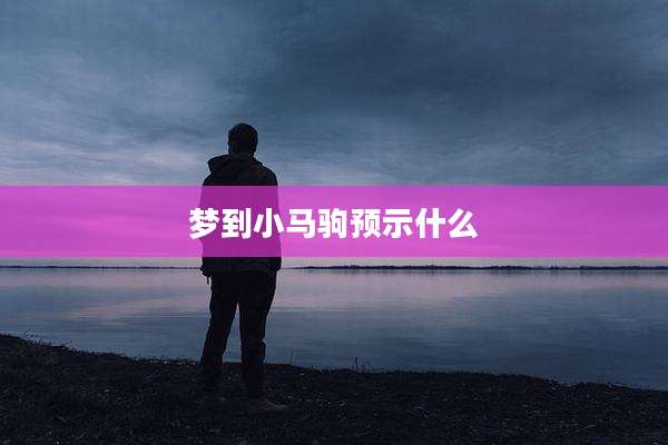 梦到小马驹预示什么