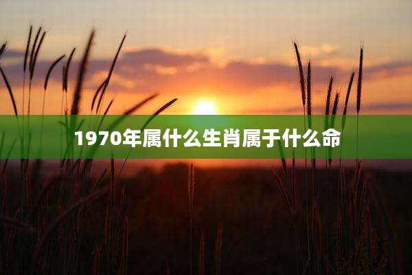 1970年属什么生肖属于什么命