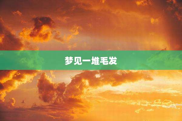 梦见一堆毛发