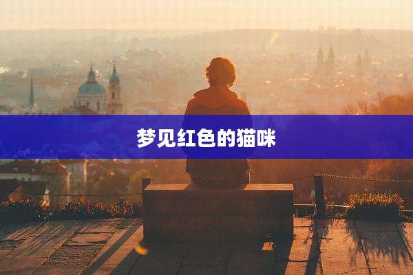 梦见红色的猫咪