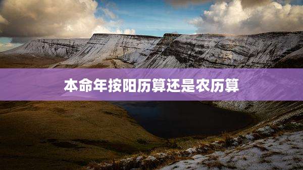 本命年按阳历算还是农历算