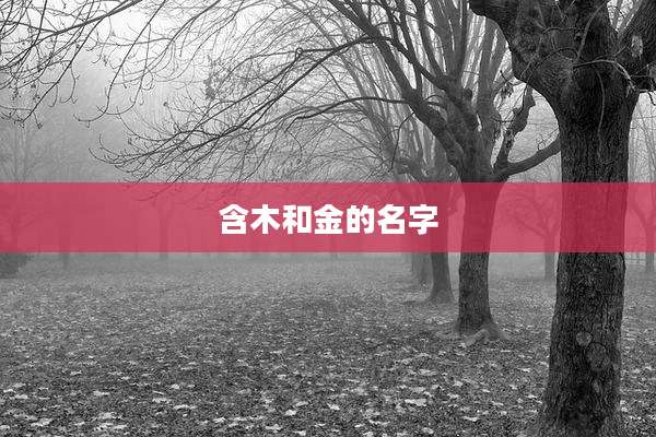 含木和金的名字