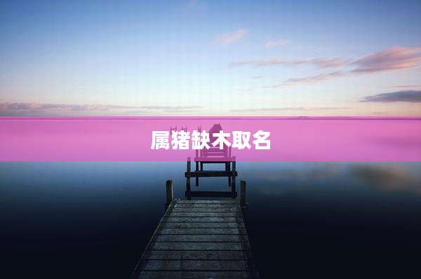属猪缺木取名