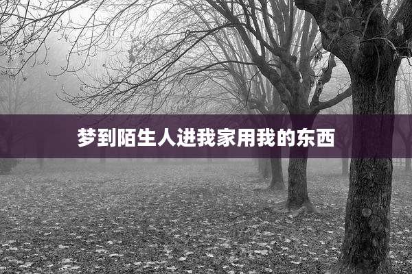 梦到陌生人进我家用我的东西