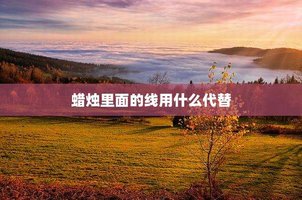 蜡烛里面的线用什么代替