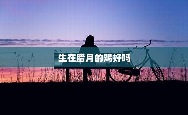 生在腊月的鸡好吗
