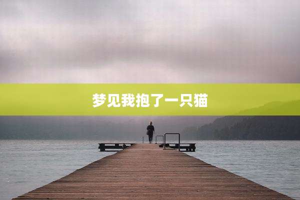 梦见我抱了一只猫