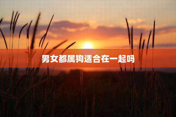 男女都属狗适合在一起吗