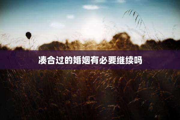 凑合过的婚姻有必要继续吗