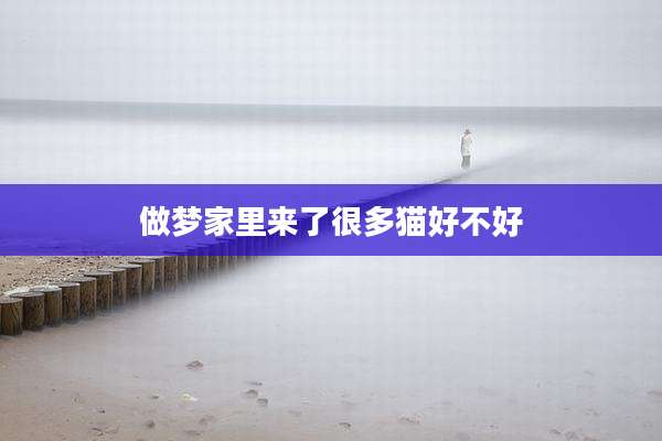 做梦家里来了很多猫好不好