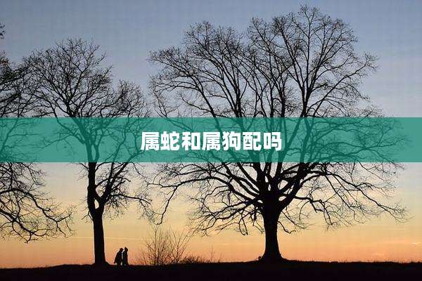 属蛇和属狗配吗