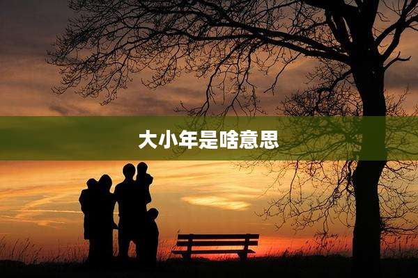 大小年是啥意思