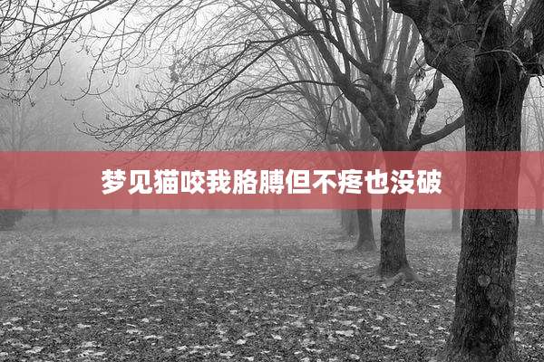 梦见猫咬我胳膊但不疼也没破