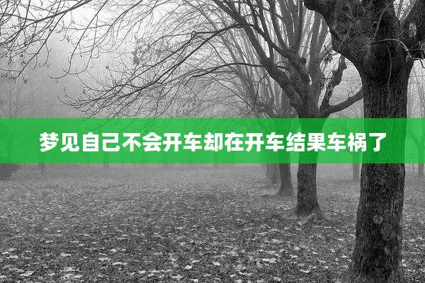 梦见自己不会开车却在开车结果车祸了