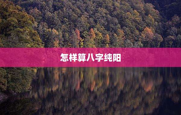 怎样算八字纯阳