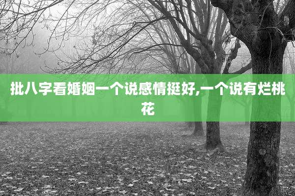 批八字看婚姻一个说感情挺好,一个说有烂桃花