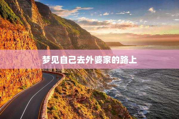 梦见自己去外婆家的路上
