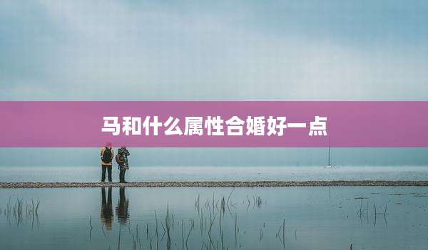 马和什么属性合婚好一点