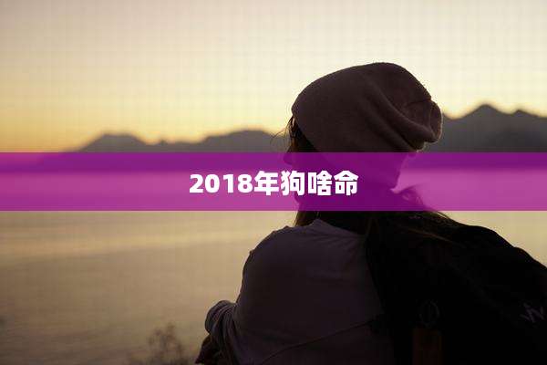2018年狗啥命