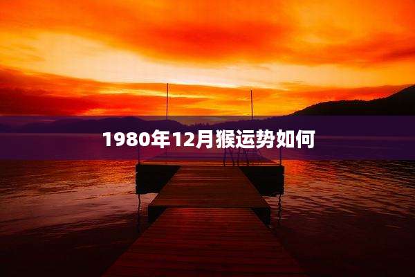 1980年12月猴运势如何