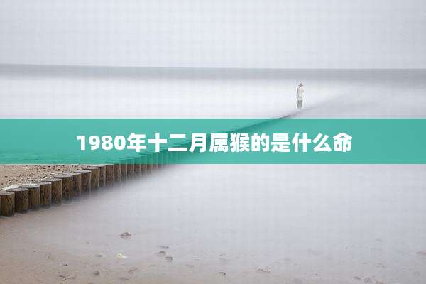 1980年十二月属猴的是什么命