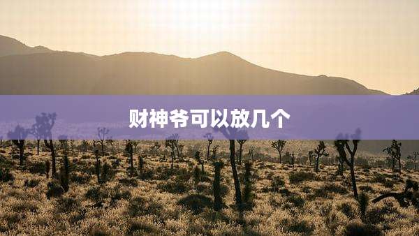 财神爷可以放几个