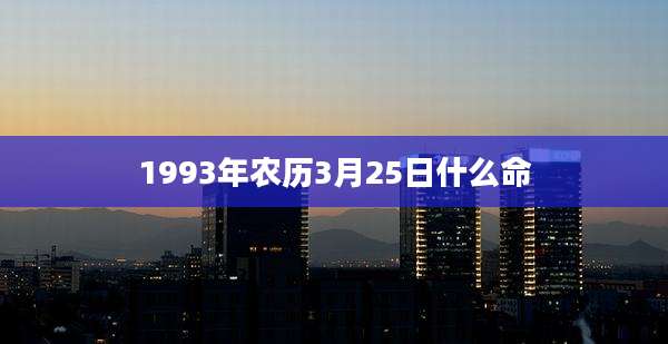 1993年农历3月25日什么命