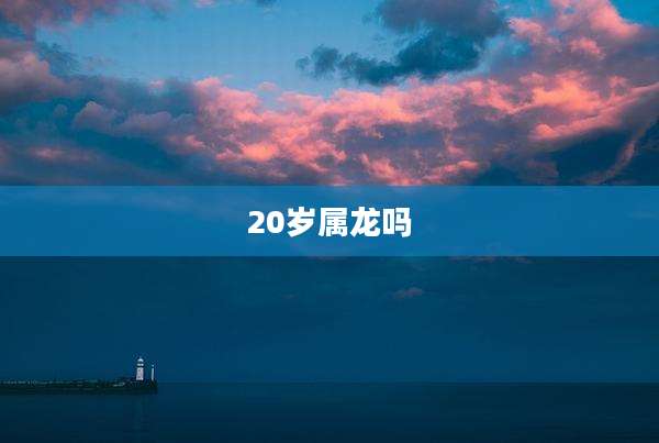 20岁属龙吗