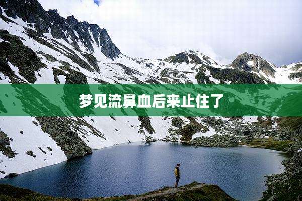梦见流鼻血后来止住了