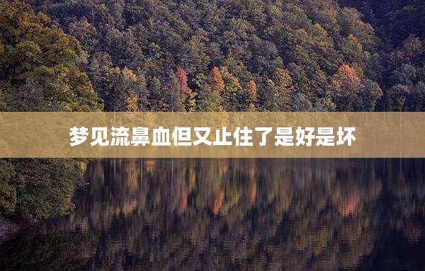梦见流鼻血但又止住了是好是坏