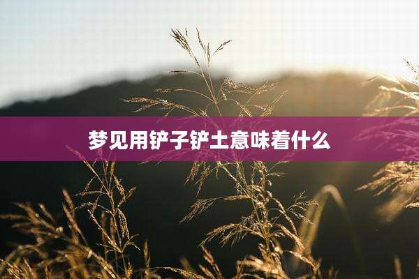 梦见用铲子铲土意味着什么
