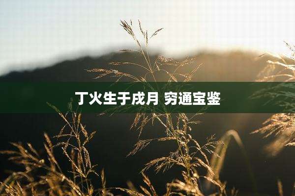 丁火生于戌月 穷通宝鉴