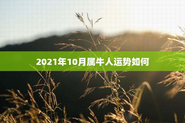 2021年10月属牛人运势如何