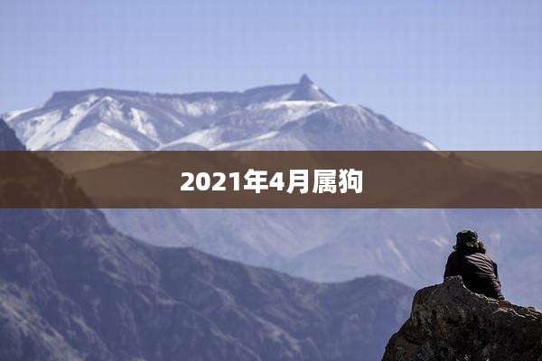 2021年4月属狗