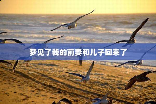 梦见了我的前妻和儿子回来了