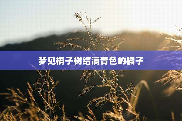 梦见橘子树结满青色的橘子