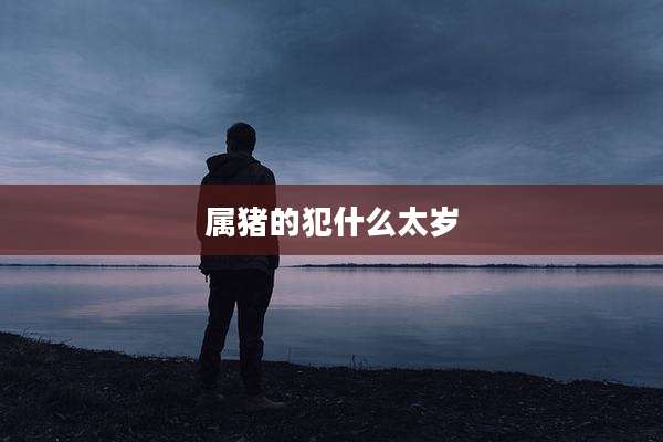 属猪的犯什么太岁