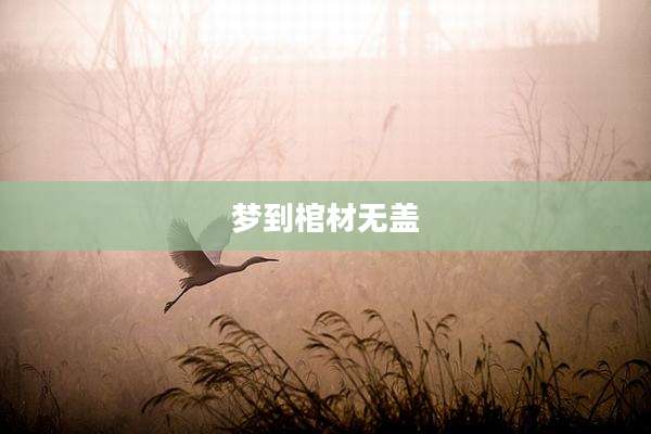 梦到棺材无盖