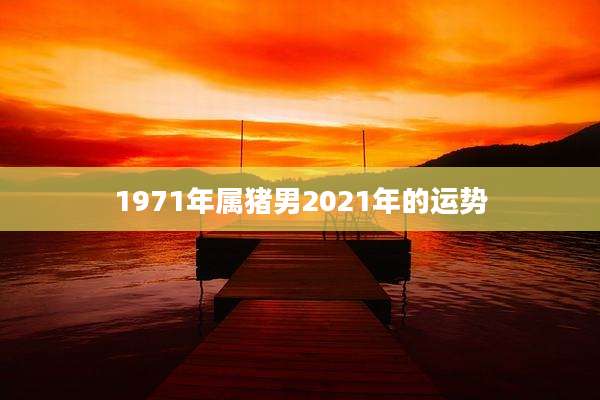 1971年属猪男2021年的运势