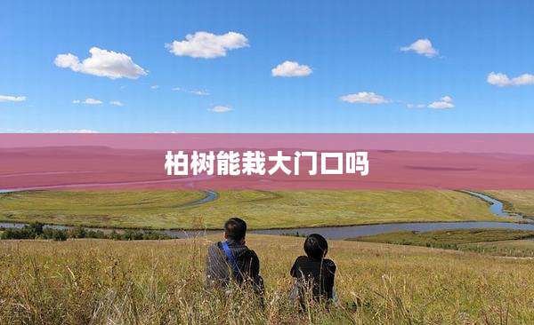 柏树能栽大门口吗