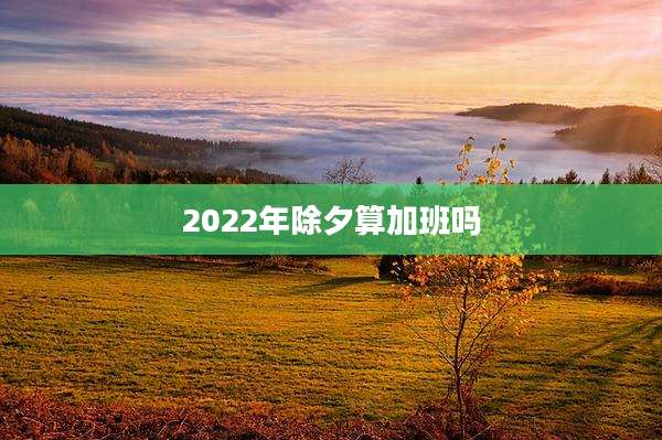 2022年除夕算加班吗